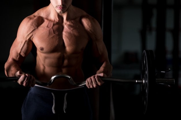 alimentacion fit