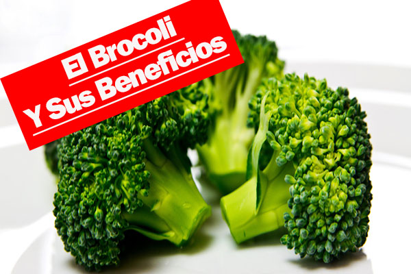 El brócoli y sus beneficios