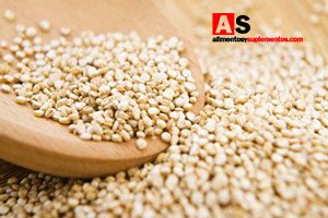 quinoa aporta alta proteina
