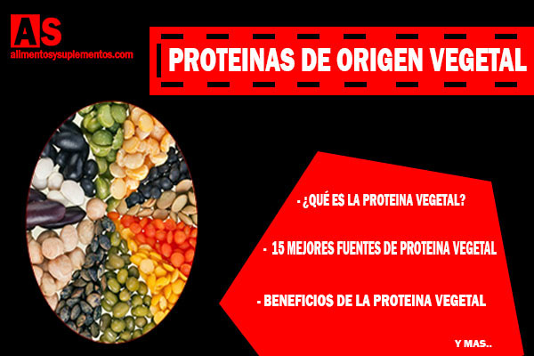 proteinas de origen vegetal